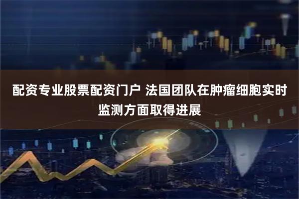 配资专业股票配资门户 法国团队在肿瘤细胞实时监测方面取得进展